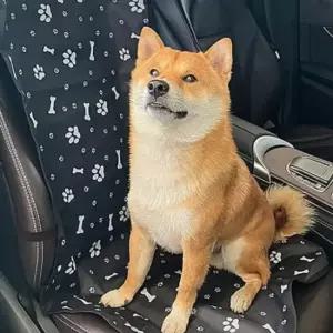 강아지 차량용 방수 카시트 시트커버