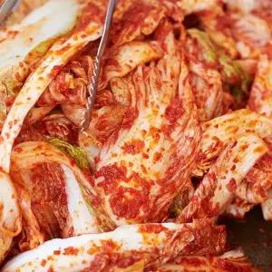 국내산 김장 배추 겉절이 10kg