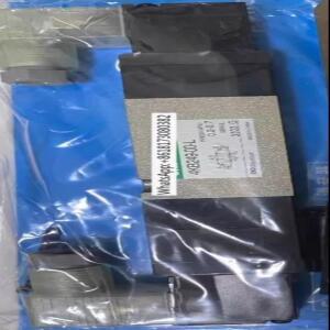 오리지널 솔레노이드 밸브 4KB249-00-L-AC110V