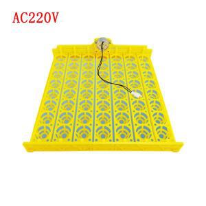 56PCS 계란 인큐베이터 AC 220V/110V DC 12V 다기능 닭고기 트레이 모터 자동 회전