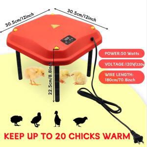 12인치 x 높이 각도 조절 가능 50W 빨간색 병아리용 브루더 히터, 애완동물용 보온