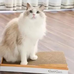 고양이 스크레쳐 (커브) 캣스크래쳐 고양이소파