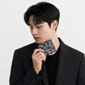 셀린느 남성 스트라이프 트리옹프 캔버스 반지갑 네이비) 10C872GUO 07TH