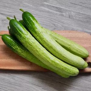 아삭하고 맛있는 백다다기 백오이 5kg(상)