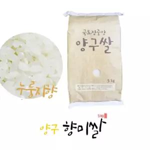 양구 향미쌀5kg 누룽지향 소포장쌀 강원도 양구쌀