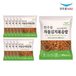 한우물 차돌김치 볶음밥 300g x 12개
