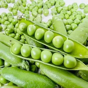 [농부곳간]26년 햇 국산 껍질째 그대로 햇완두콩 2kg