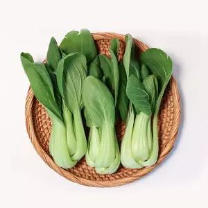 [자연맛남]농협선별 신선한 청경채 1kg