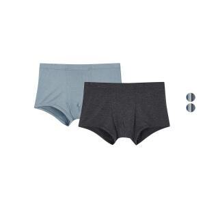 데이즈남레이온인밴드드로즈2매입