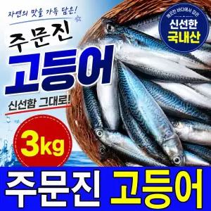 주문진 국내산 생물 생고등어 3kg 8~11마리 신선도 유지를 위해 급속냉동하여 발송 통고등어