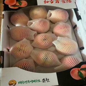 순천 월등 복숭아 딱딱이 경봉 10-12과(실중량 4kg)