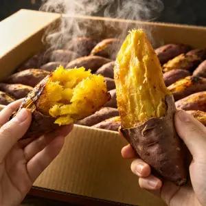 산지발송 2026 해남 꿀발린 햇 호박 고구마 10KG 특상