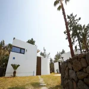 [제주] 협재펜션 화양연화(제주, 제주)