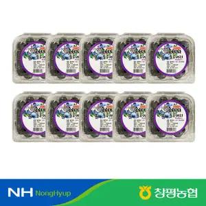 담양창평농협 햇 生블루베리 1kg (100gx10팩)