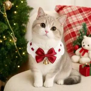 반려동물 턱받이 목걸이 고양이 스카프 강아지 케이프 WFODEXJ