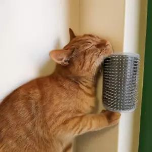 고양이 셀프그루머 죽은털제거 코너빗 WFODCX7