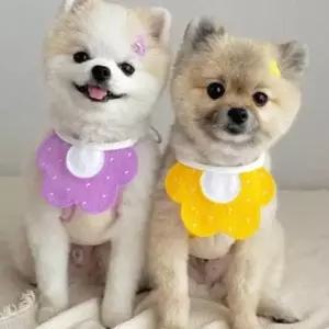 키밍 반려동물 스카프 턱받이 강아지 고양이 넥케이프 침받이 패션목수건