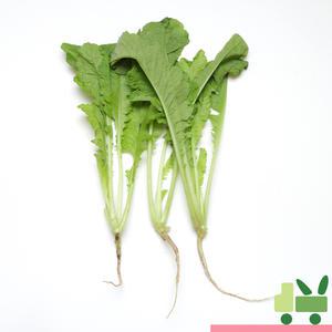 열무 4Kg