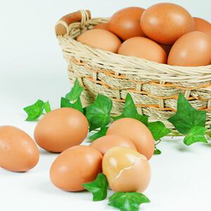 웰빙 맥반석 구운란 구운계란(1판 30개)/EGN간식