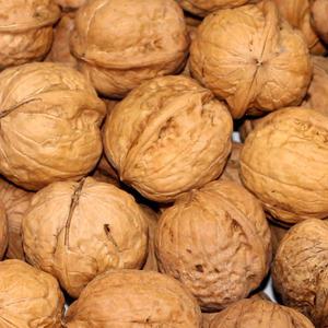 100% 국내산 알호두 500g