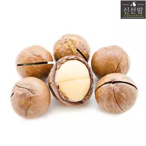 최신통관 껍질 마카다미아 1kg(500g+500g) 까먹는 통 마카다미아 100% 베트남산 최상급