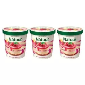 [슈팅냉동] 롯데웰푸드 나뚜루 치즈&라스베리 파인트 474ml, 3개