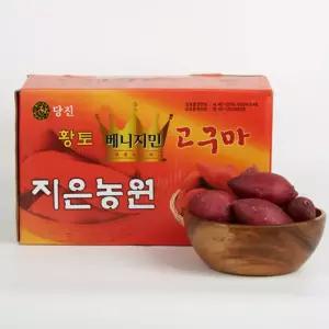 [올즈마켓] 대용량 가락시장 당일 경매 달콤한 당진 베니지민 꿀고구마 한입 10kg
