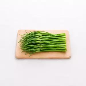 마늘쫑 600g 남해 국내산 마늘종