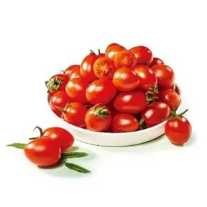 (카)토망고 스테비아 토마토 500g*4팩 총 2kg!(A.일반 B.망고향 C.청포도향 택1)