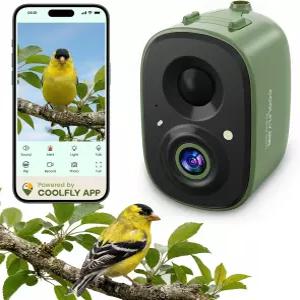 스마트 버드 카메라 전용 피더/목욕탕/하우스용 2.5K UHD 버드워치 라이브 무료 AI 식별 자동 캡처 비디오