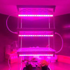 AC220V 110V LED 성장 빛 LED 식물 라이트 바 전체 스펙트럼 식물 램프 튜브 T5 29cm 실내 꽃 수경법 시스