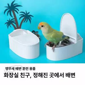 앵무새 배변 횃대 조류용 기저귀 비둘기용 라이너 벽걸이
