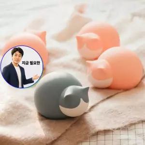쌍문상회 지금 필요한 고양이 찜질주머니 물주머니 찜질기 찜질팩 냉온 실리콘