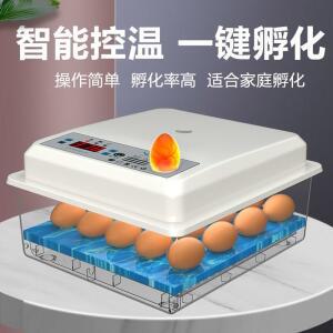 계란 난화상자 부화기 전자동 부화상자 메추리육추기 소형부화기 병아리부화기 전자동가정형