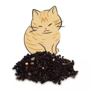 고양이 캣닢 씨앗 200개 캣글라스 고양이풀 키우기 캣글라스재배 (WEE9A55)