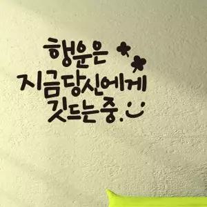 행운은당신에게 소형 캘리그라피 레터링스티커 인테리어스티커 창문스티커 (WBECA74)