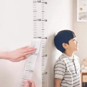 키재기 스티커 시트지 키측정 200cm 눈금자 DD-13194 키재기판 (WFIUKBY)