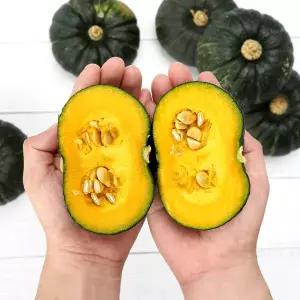제주 미니 밤단호박 보우짱 로열과 7kg 12-23과