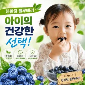 산지직송 친환경 국내산 생블루베리 중과