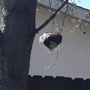 수제 섬유 새 은신처 하트 알파카 재료 홀더 모양 벌새