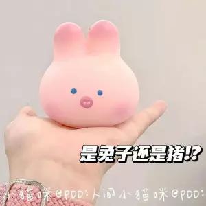 토끼 돼지 모찌인형