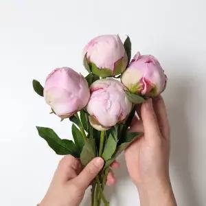 행사 사라작약 생화 작약 4송이+1