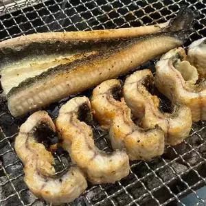 자포니카 국내산 고창 대왕 민물장어 1kg 손질 후 700g