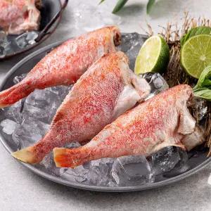 손질 냉동 열기 볼락 1kg(8-12미) x 2팩