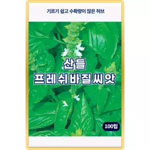 산들 프레쉬 바질 씨앗 100립 향이 좋은 허브 바실씨 종자