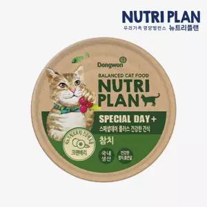 동원 뉴트리플랜 스페셜데이 플러스 고양이캔 건강한 간식 90g