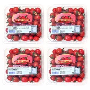 [스윗마토] 스테비아 미니 방울토마토 1kg, 2kg