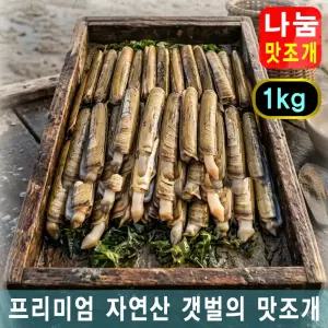 자연산 갯벌의 맛조개 가리 대맛조개