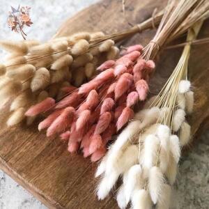 지휘봉 50Pcs 푹신한 토끼 토끼 꼬리 잔디 말린 꽃 꽃다발 웨딩 크리스마스 장식 자연 Pampas Boho 홈 가을 장식