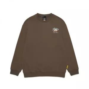 매장정품 내셔널지오그래픽 NATIONAL GEOGRAPHIC KIDS K253USW940 시즌 백그래픽 맨투맨 BROWN 5008375459